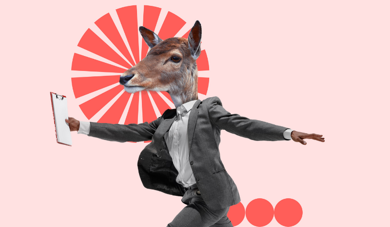 Business Design Competition Finals