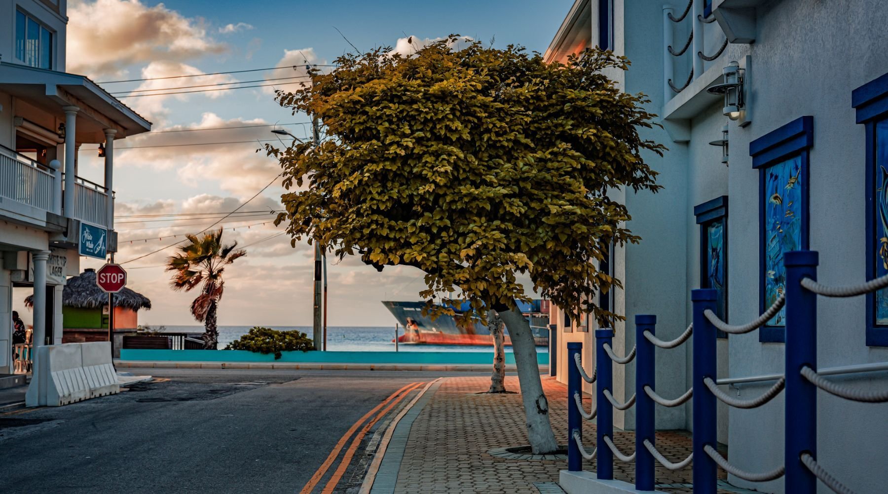 ShoreLabs’ First Six Months in Cayman’s Special Economic Zone (2)