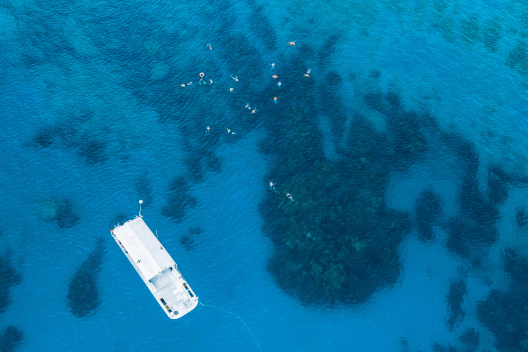 BlueTech Business Sector Holding Image