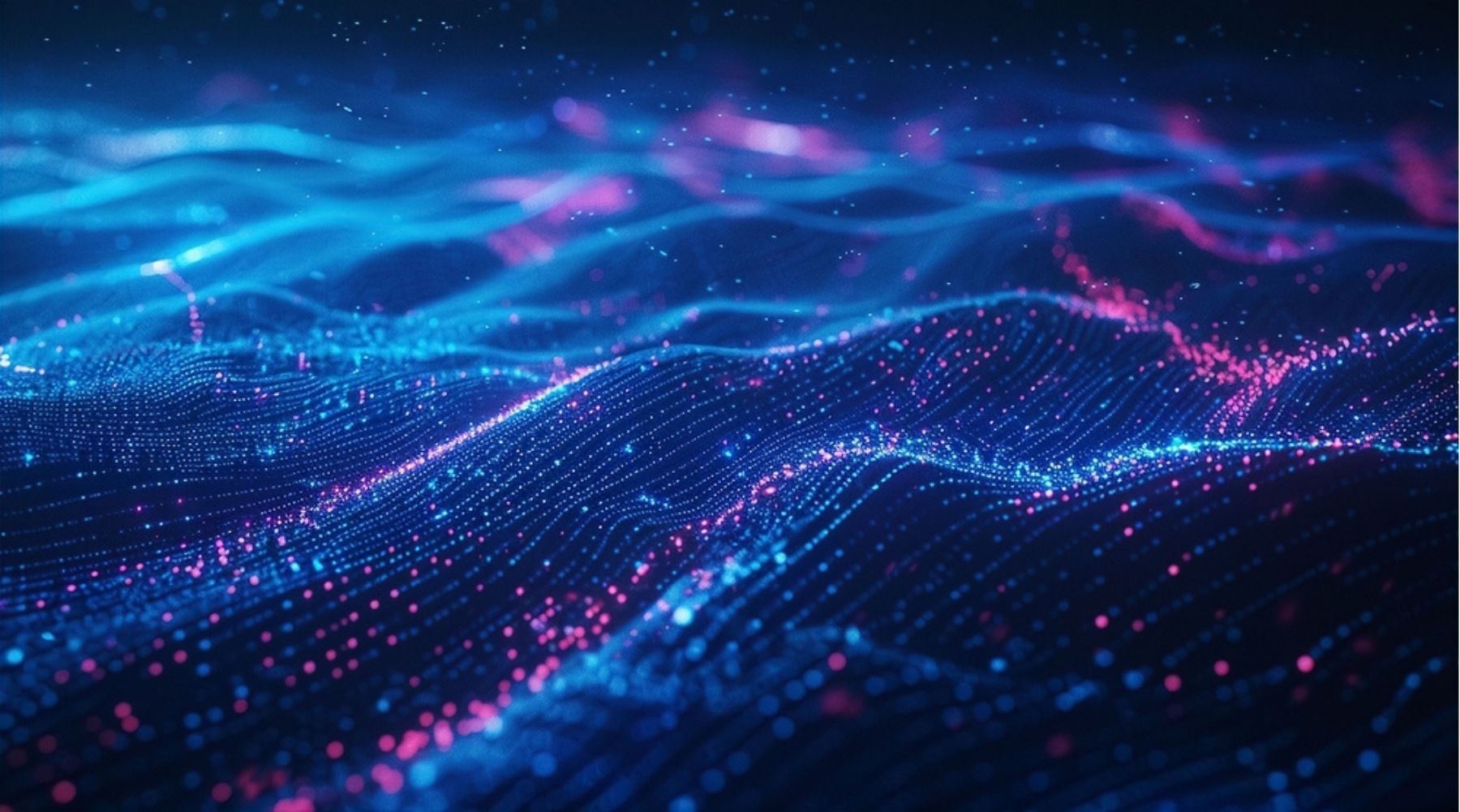 Diverse Sector Ecosystem