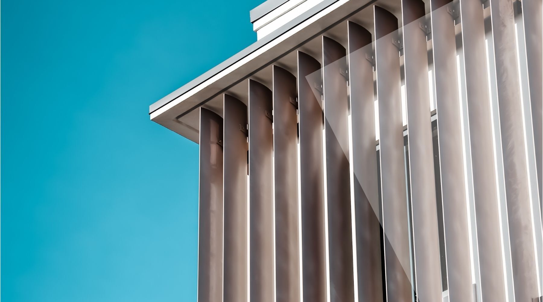 Why Cayman Enterprise City Stands Apart: Certainty, Community, and Cost-Efficiency