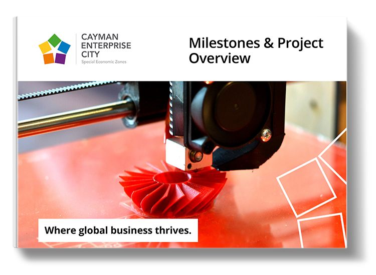 CEC Milestones and Project Overview Brochure 
