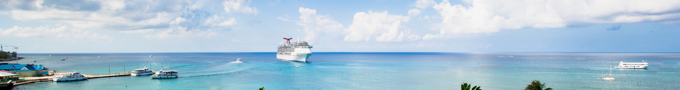 Homepage Banner - EXTRA LONG (1)-1