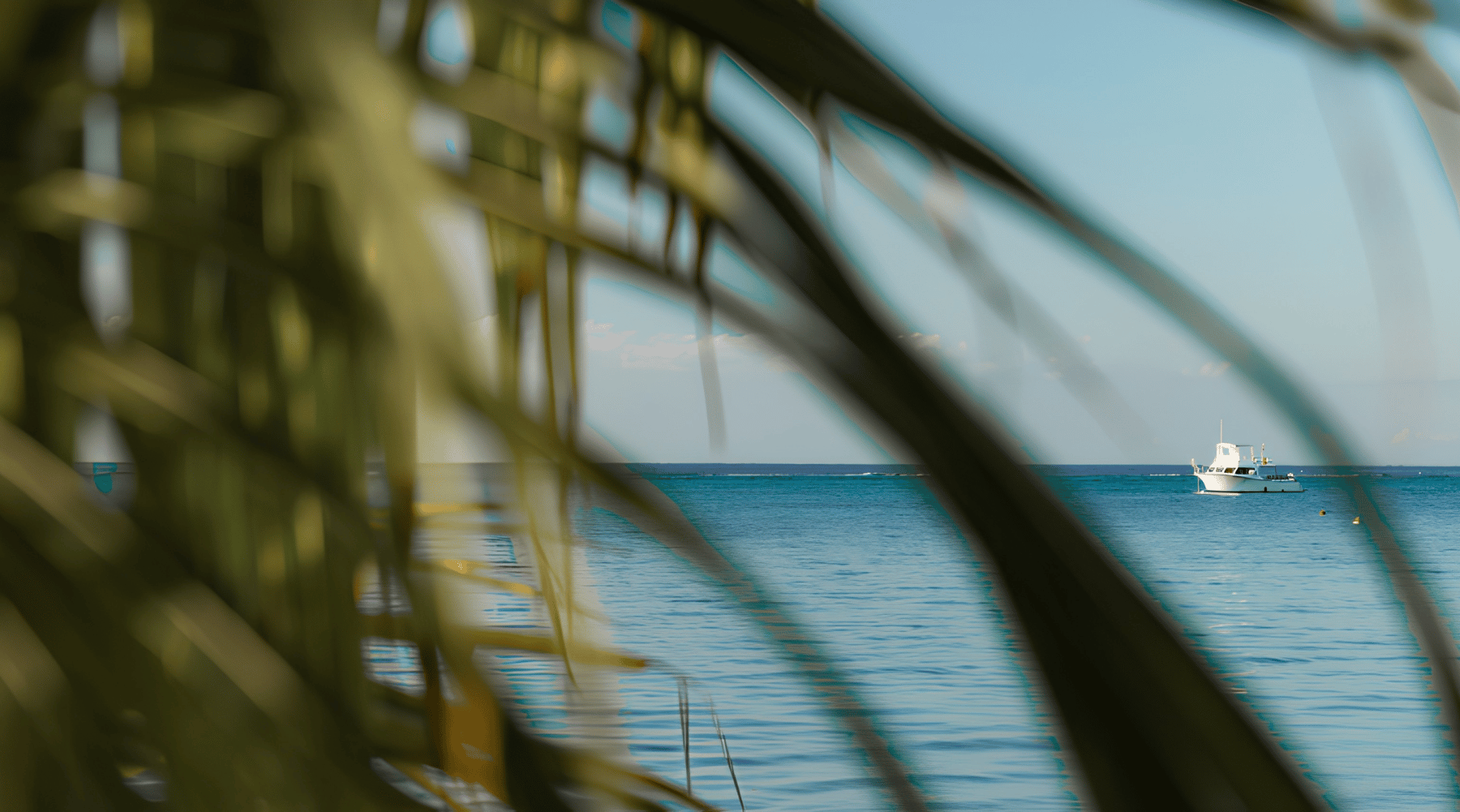 Moving to the Cayman Islands HERO Image