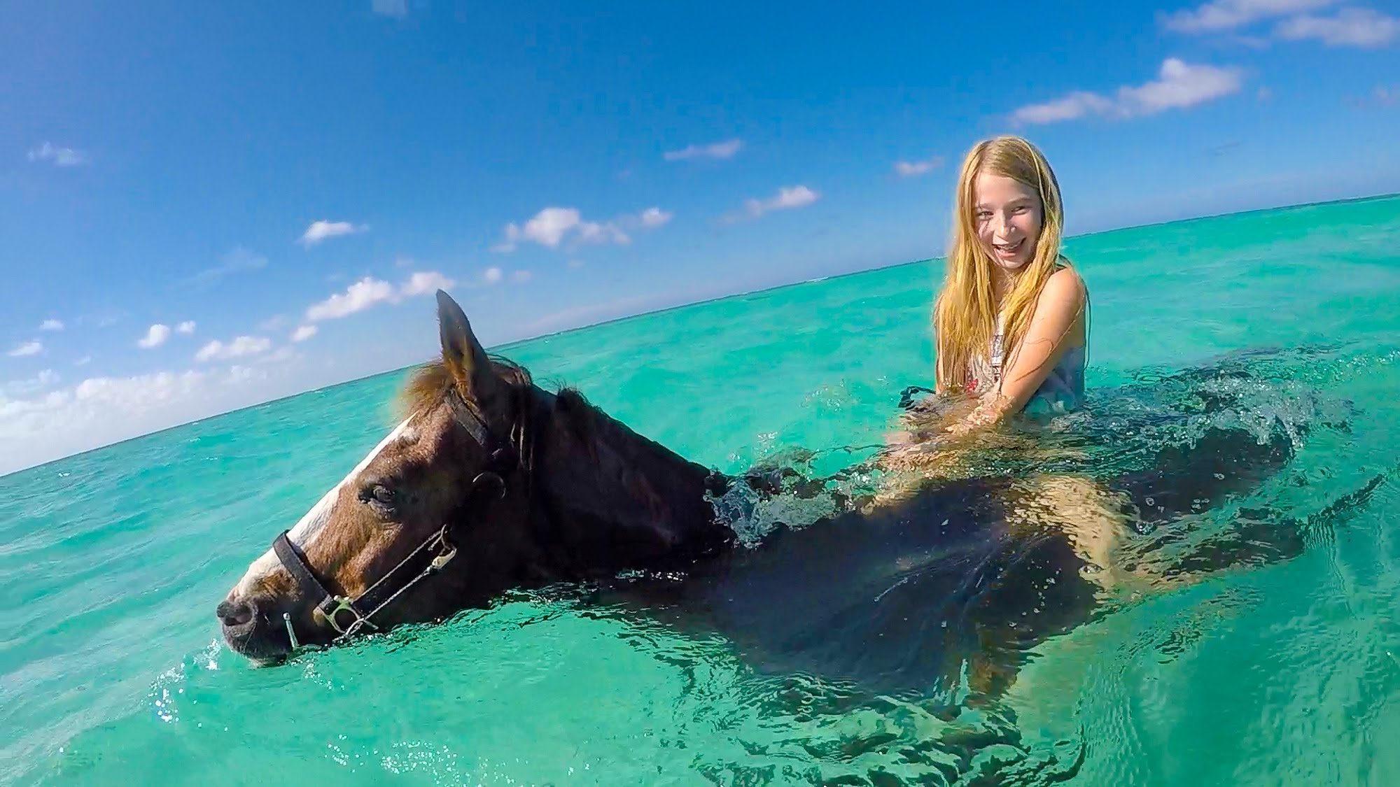 Swimming-Horses-of-Grand-Cayman