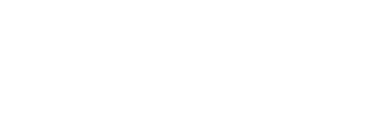 ether.fi WHITE LOGO-1
